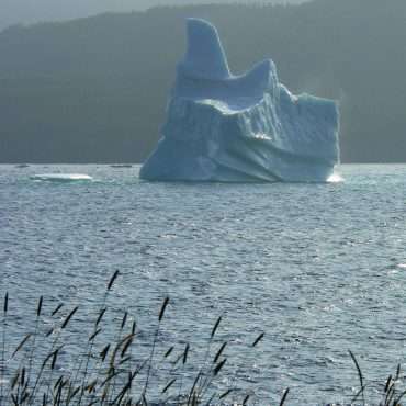 Iceberg - Floating Majesty